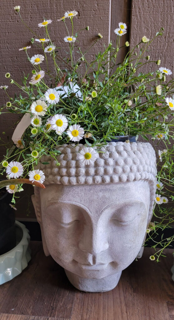 Buddha head vase with daisies coming out of it.